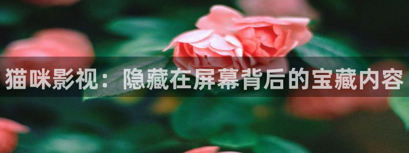 新视觉影院6080青苹果影院：猫咪影视：隐藏在屏幕背后的宝藏内容