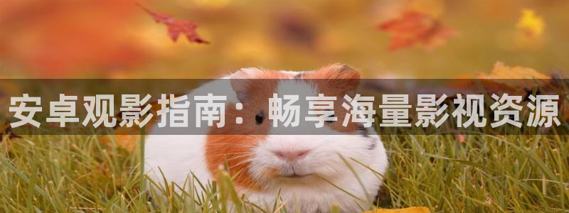 yy4686青苹果影院：安卓观影指南：畅享海量影视资源