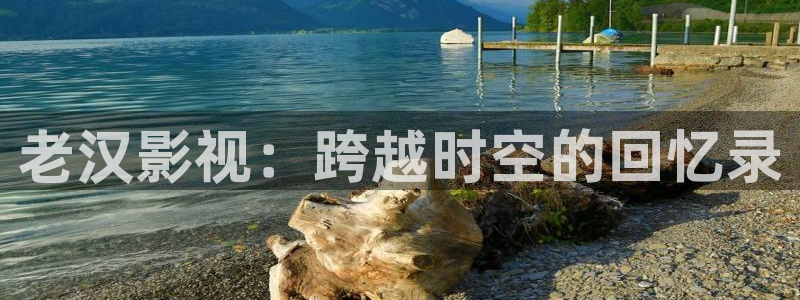 新视觉6080青苹果影院：老汉影视：跨越时空的回忆录