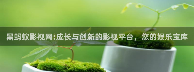 8840青苹果电影电视剧：黑蚂蚁影视网:成长与创新的影视平台，您的娱乐宝库