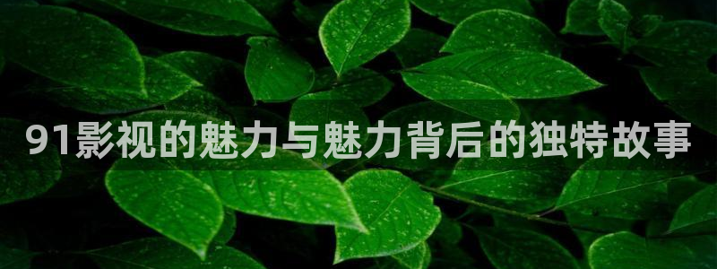 青苹果影院软件：91影视的魅力与魅力背后的独特故事