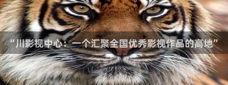 4480 青苹果影院：“川影视中心：一个汇聚全国优秀影视作品的高地”