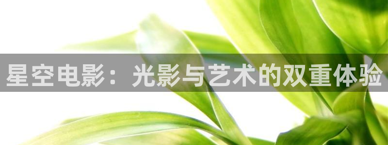 新视觉6080青苹果影院：星空电影：光影与艺术的双重体验