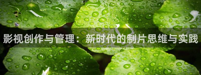 青苹果影院苹果：影视创作与管理：新时代的制片思维与实践