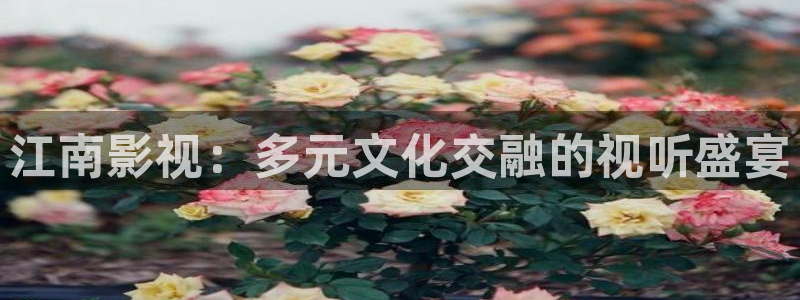 青苹果6080新视觉：江南影视：多元文化交融的视听盛宴